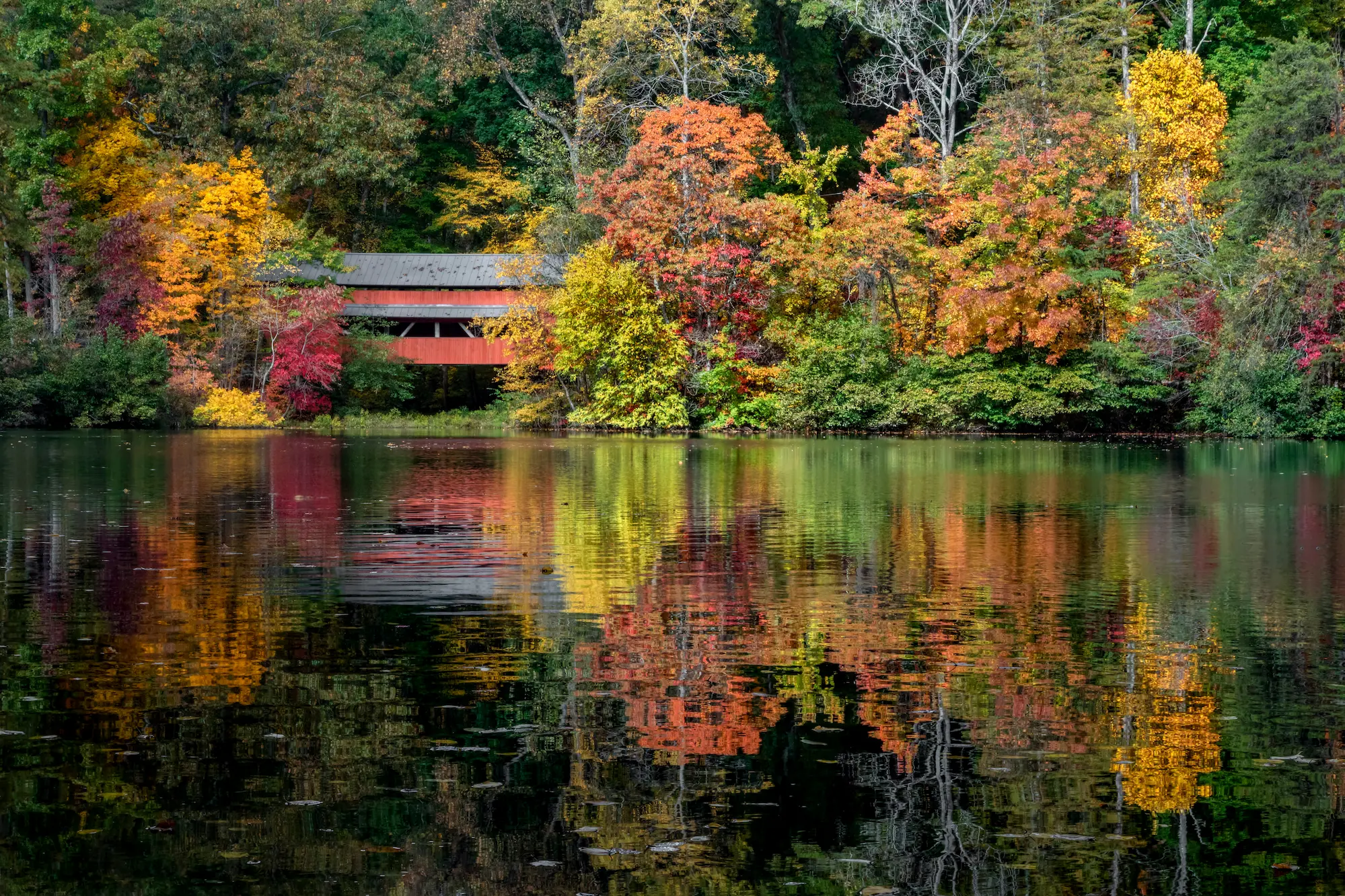 Covered bridge in Parke County