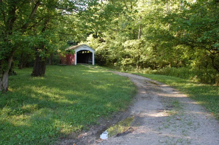 Leatherwood Station Covered Bridge (#25)